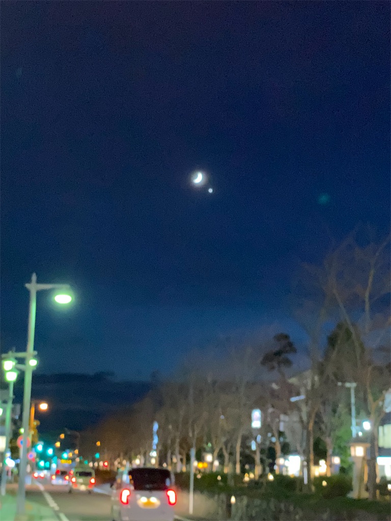 f:id:blossom-art:20211108180832j:image