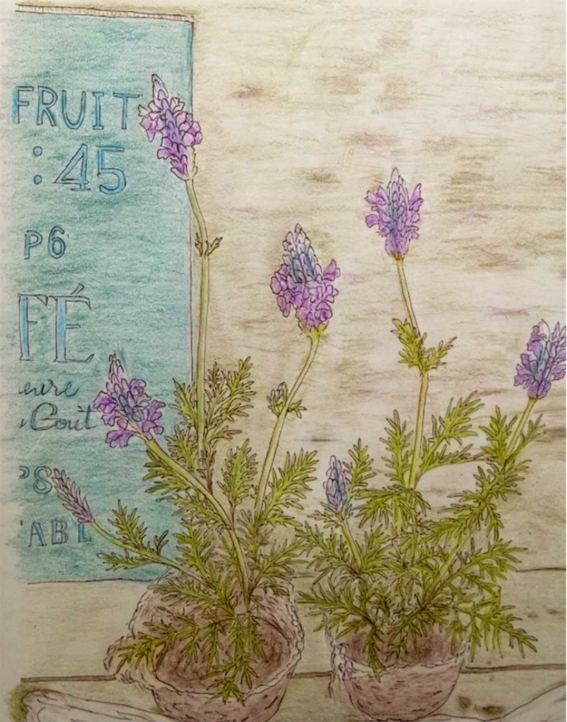 f:id:blossom-art:20211116172503j:image