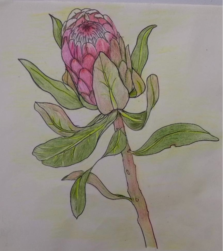 f:id:blossom-art:20211119180313j:image