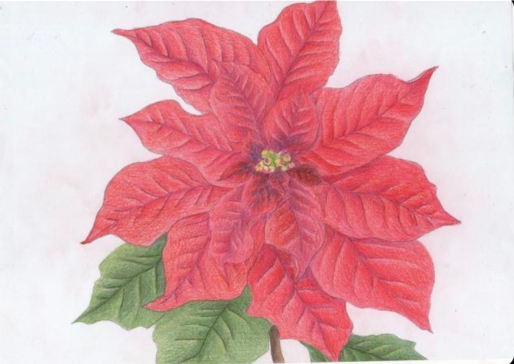 f:id:blossom-art:20211119182735j:image