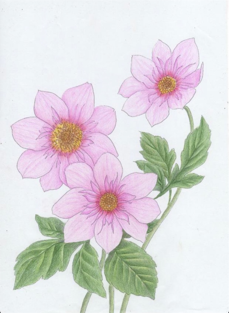 f:id:blossom-art:20211123201959j:image