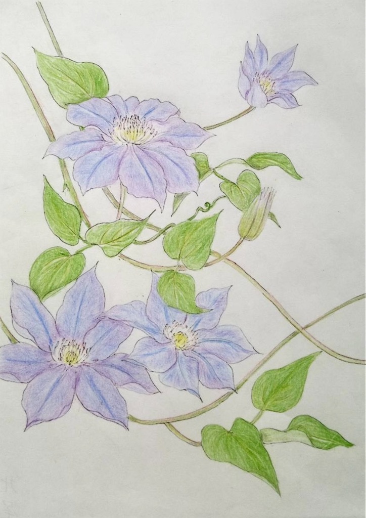 f:id:blossom-art:20211124174948j:image