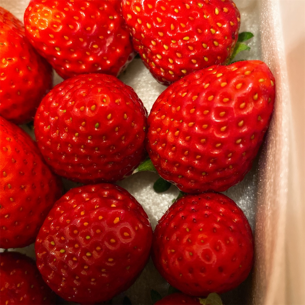 f:id:blossom-art:20220126183415j:image f:id:blossom-art:20220126183415j:image