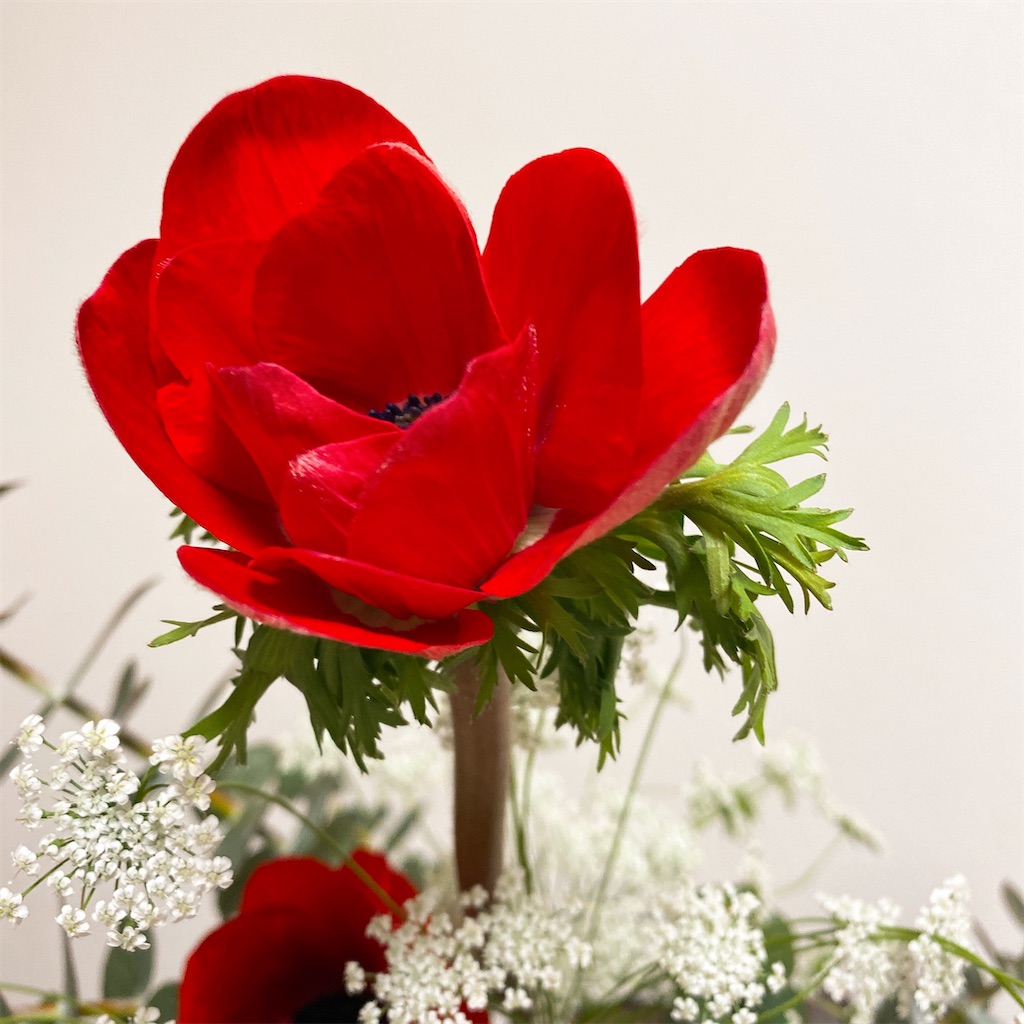 f:id:blossom-art:20220224184722j:image