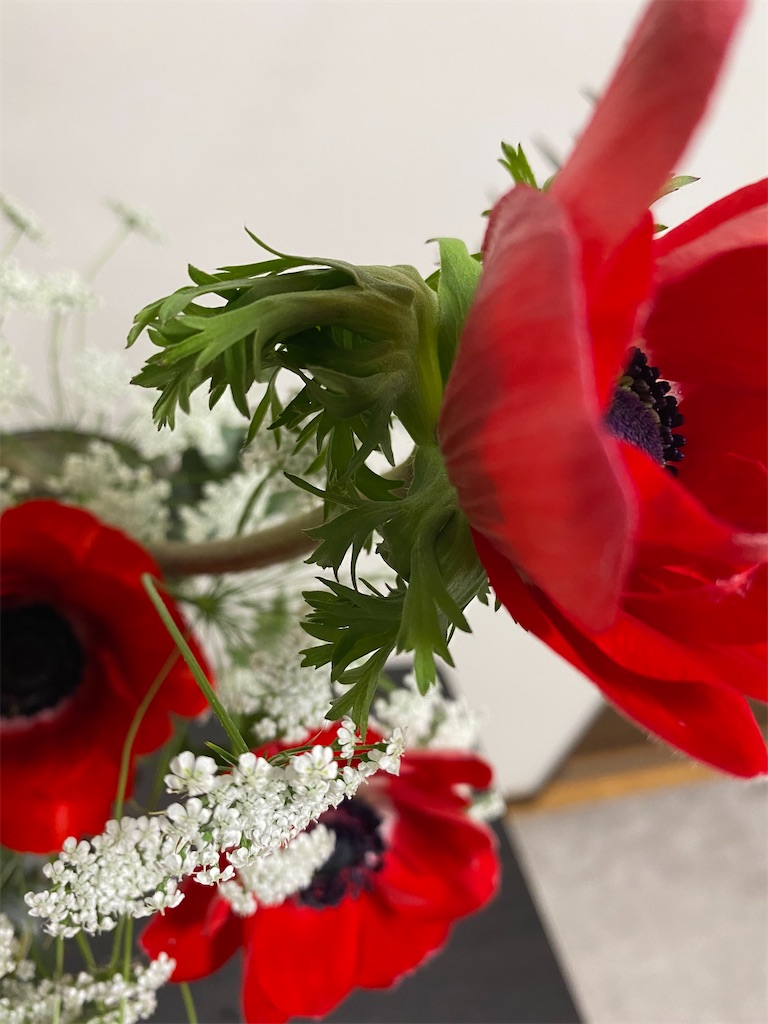 f:id:blossom-art:20220224184732j:image f:id:blossom-art:20220224184732j:image