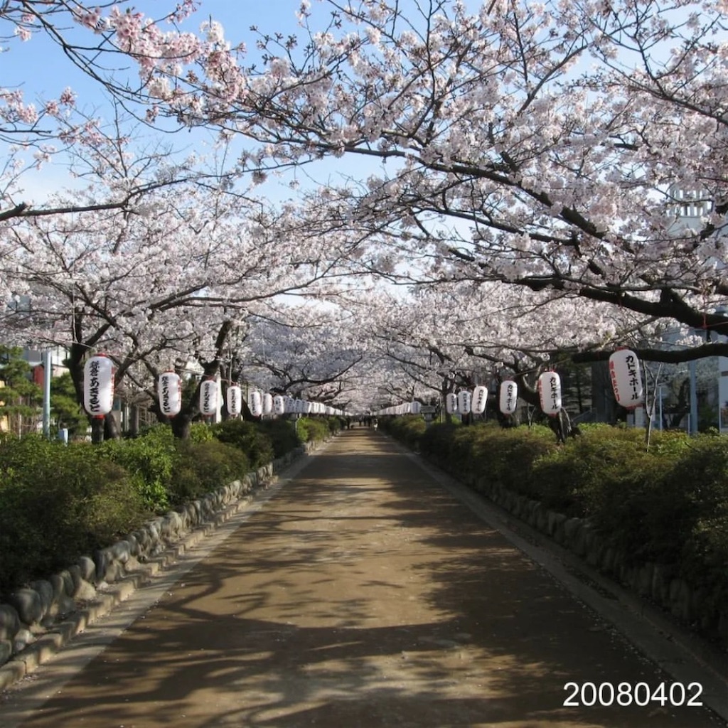 f:id:blossom-art:20220329183043j:image