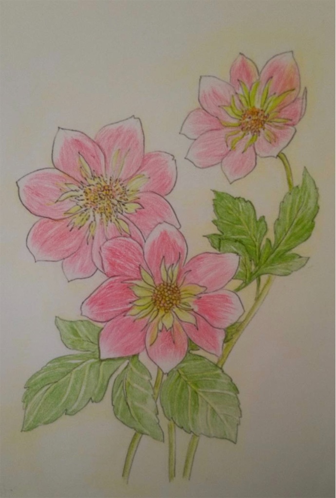 f:id:blossom-art:20220524183833j:image