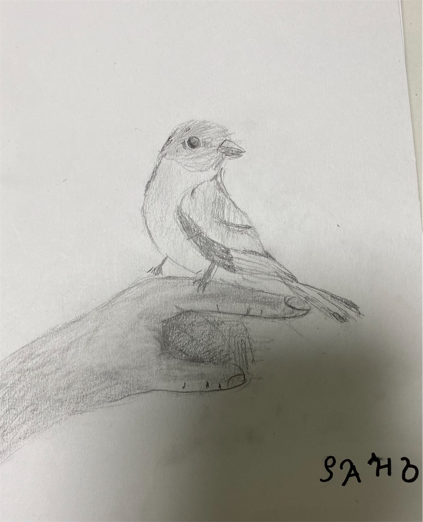 f:id:blossom-art:20220608203112j:image
