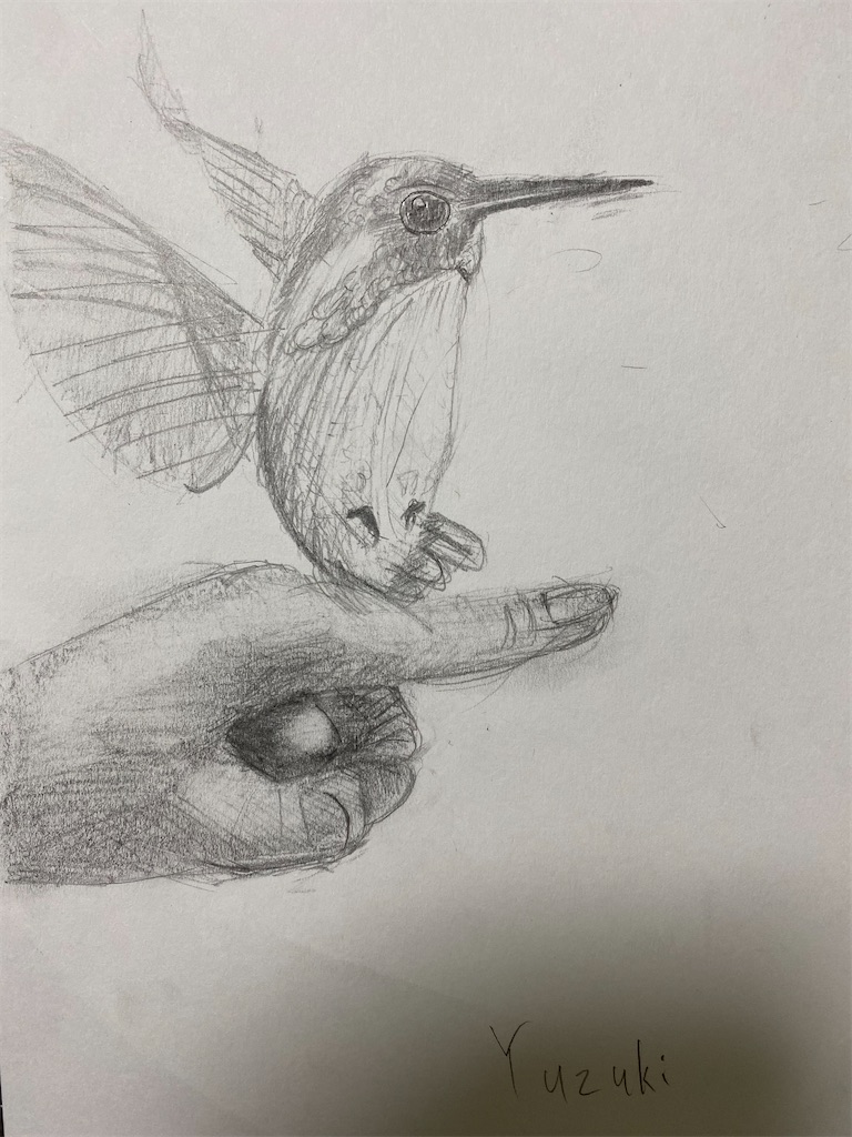 f:id:blossom-art:20220608203445j:image