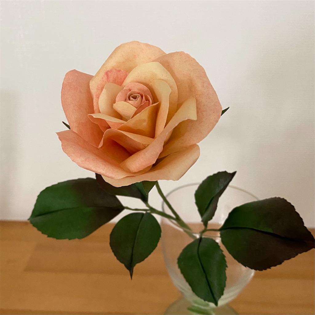 f:id:blossom-art:20220615205506j:image