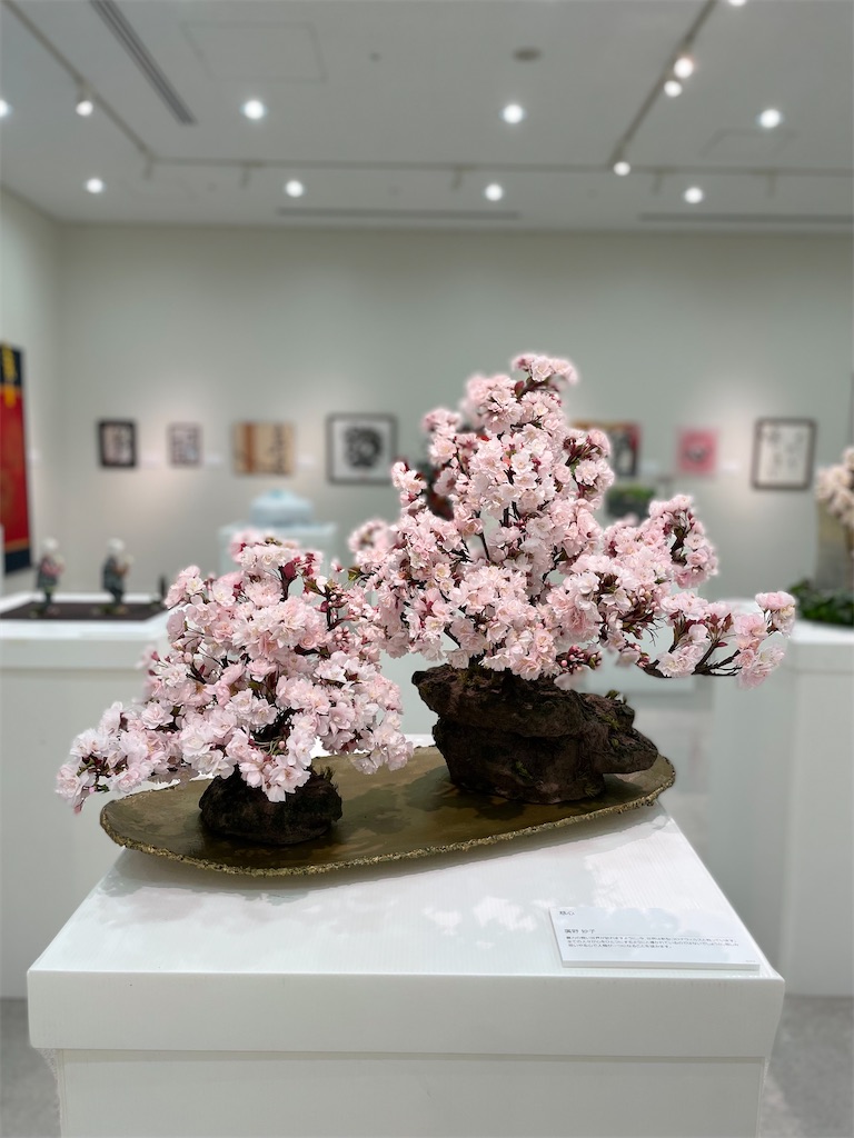 f:id:blossom-art:20220701182109j:image