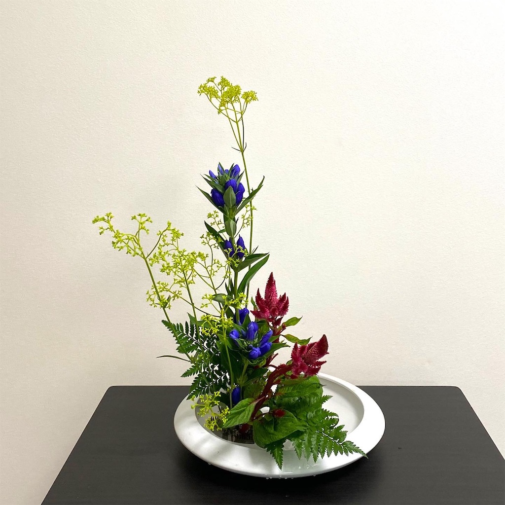 f:id:blossom-art:20220902003939j:image