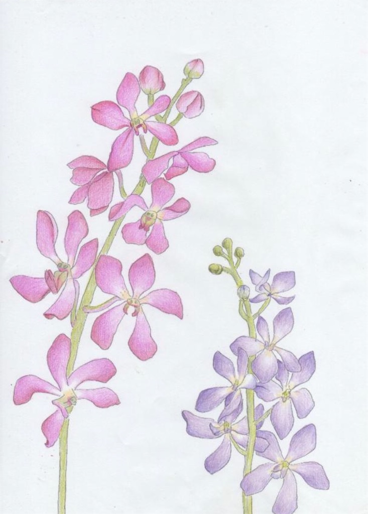 f:id:blossom-art:20220904195553j:image