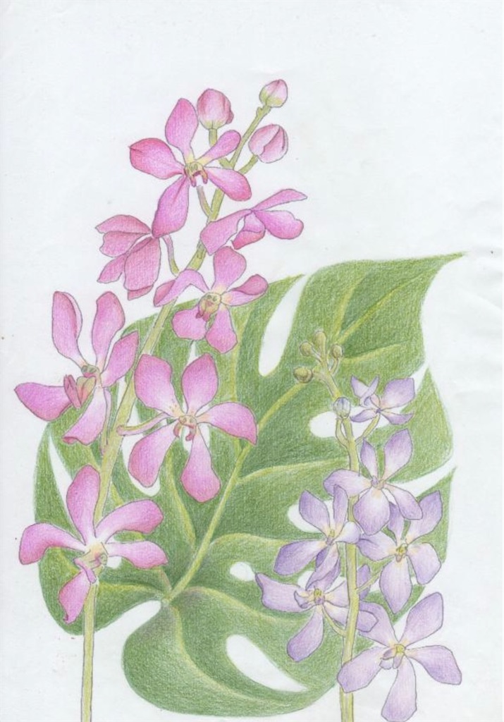 f:id:blossom-art:20220904195917j:image