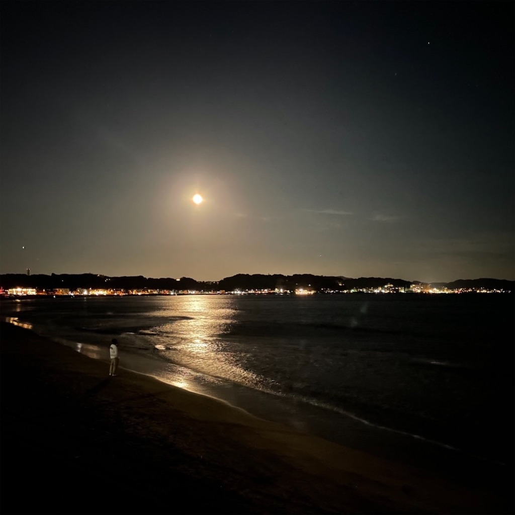 f:id:blossom-art:20220911205557j:image