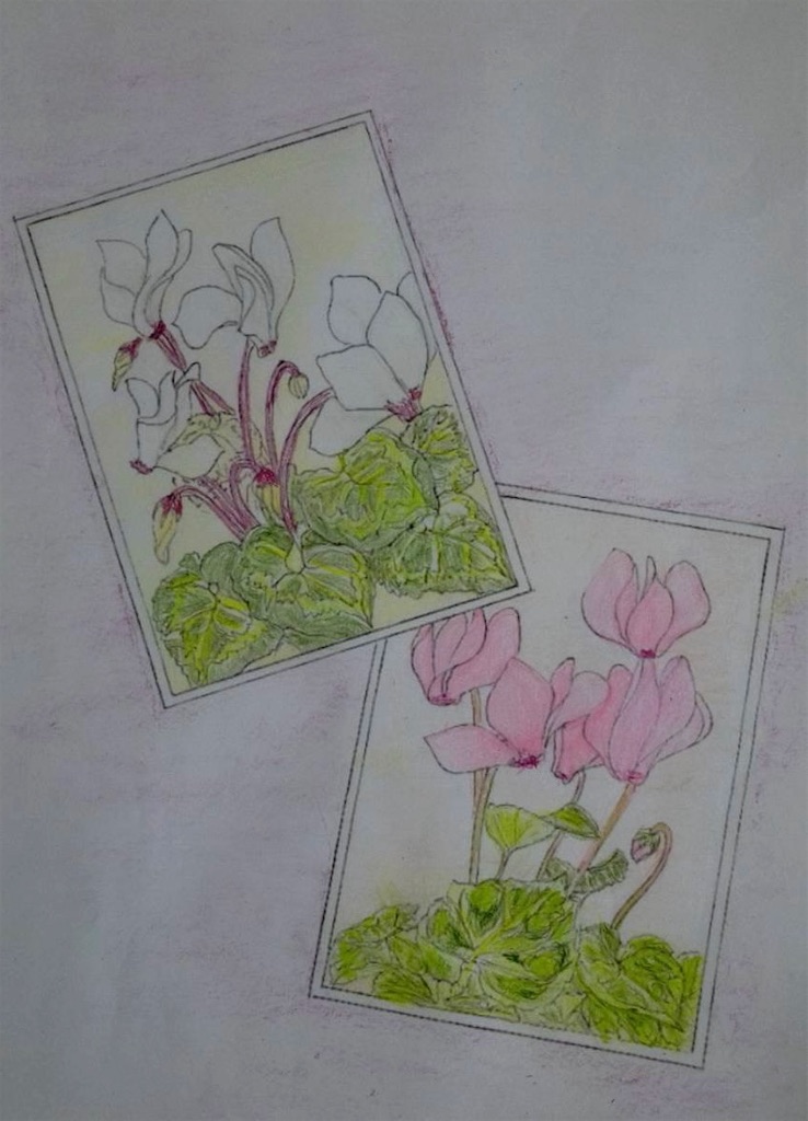 f:id:blossom-art:20220920181333j:image