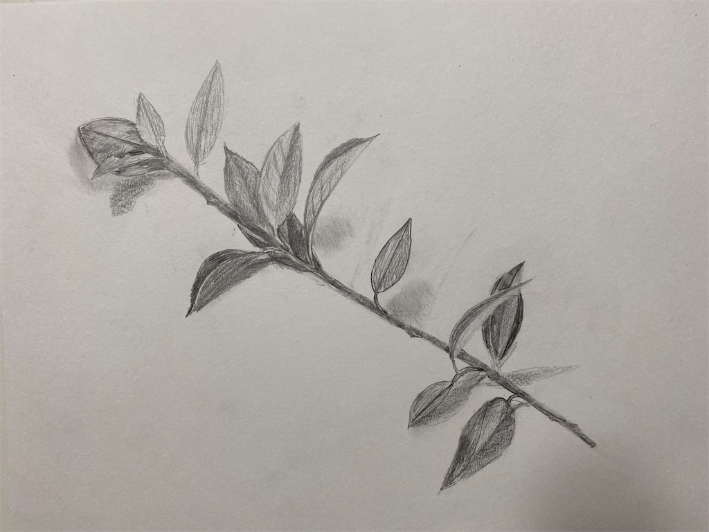 f:id:blossom-art:20220920182445j:image