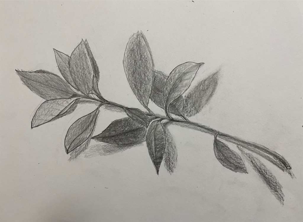 f:id:blossom-art:20220920183136j:image