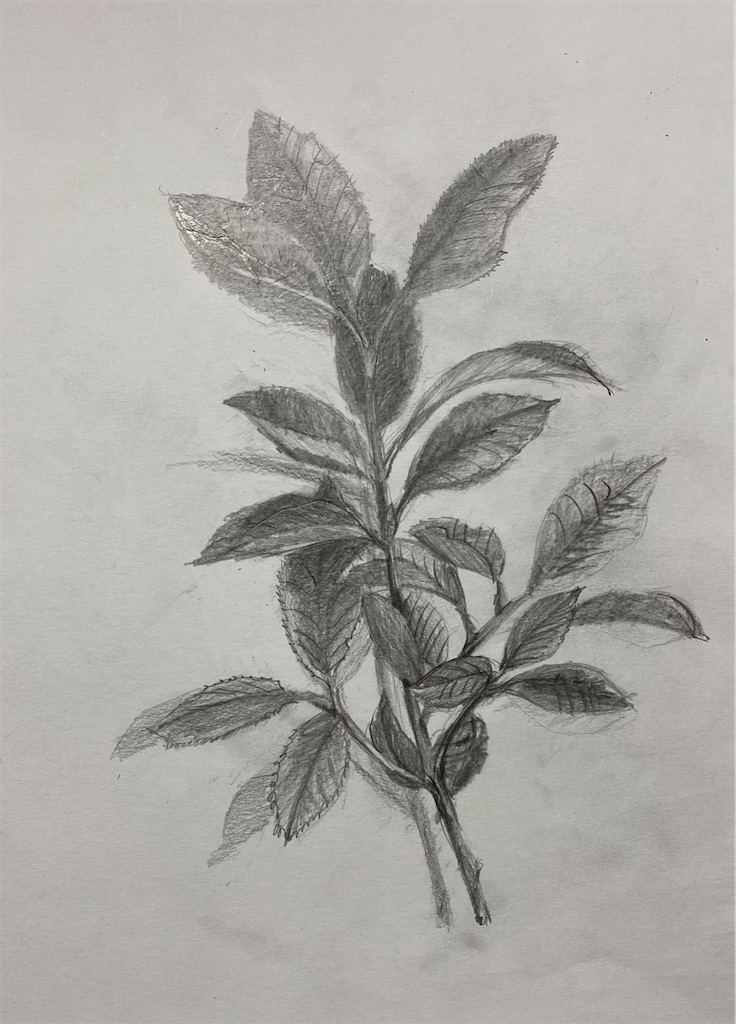 f:id:blossom-art:20220920183323j:image