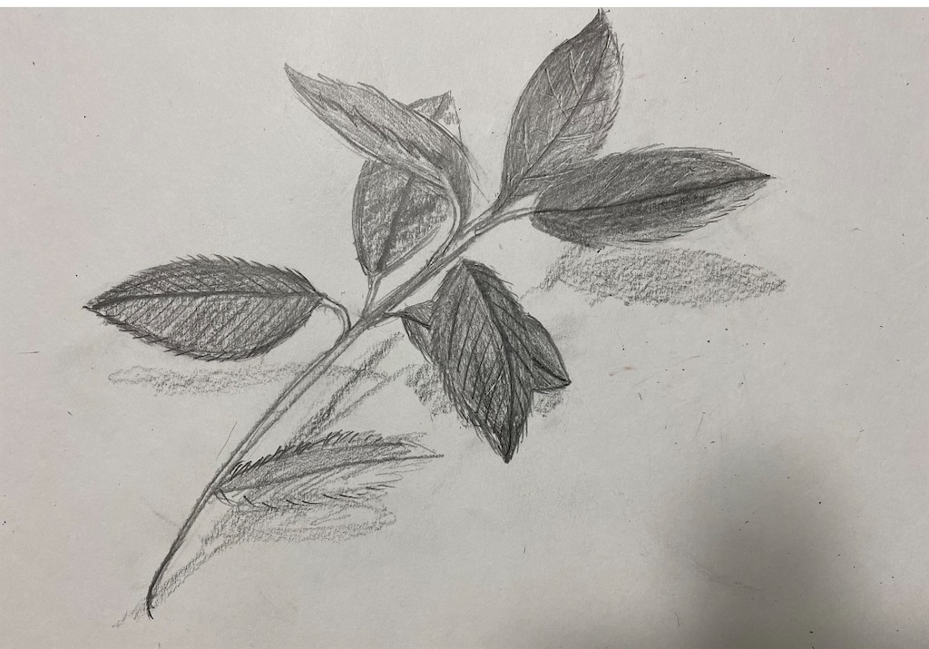 f:id:blossom-art:20220920183336j:image