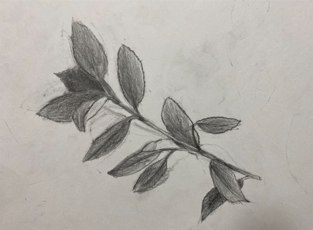 f:id:blossom-art:20220920183449j:image