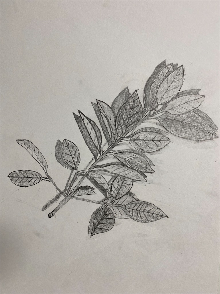 f:id:blossom-art:20220921173742j:image