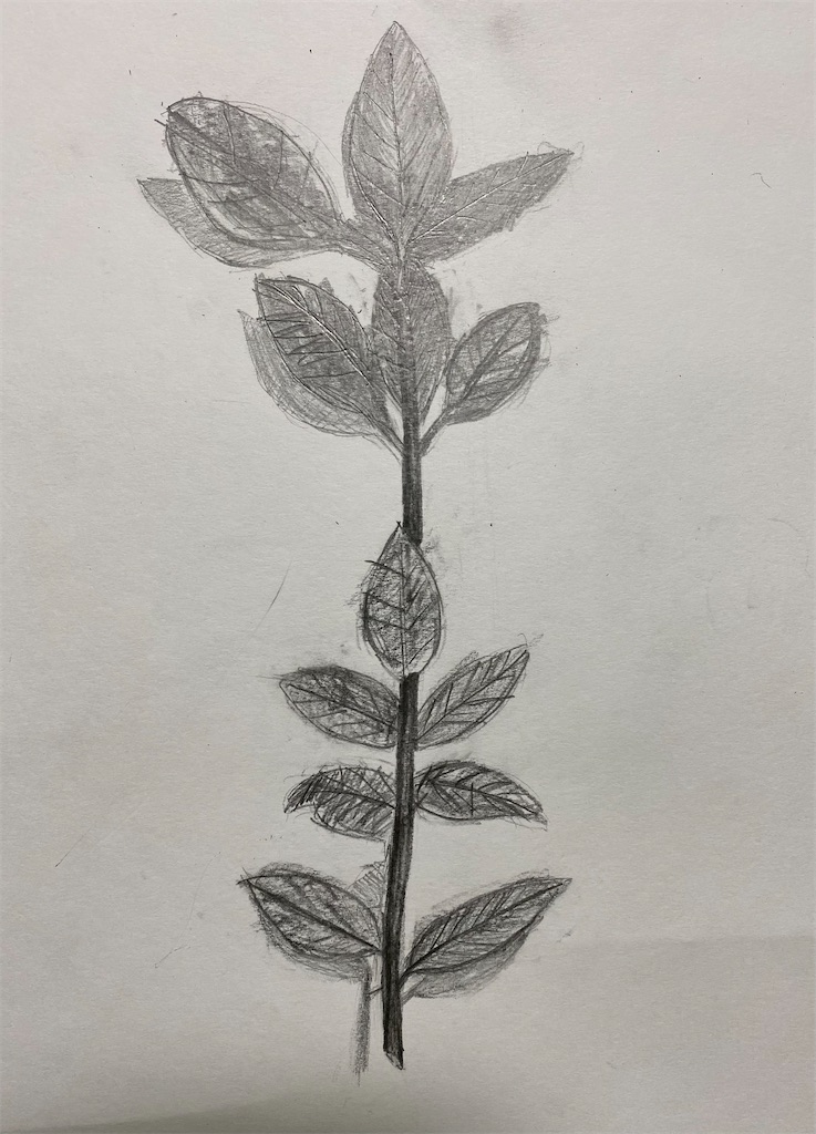 f:id:blossom-art:20220921174538j:image