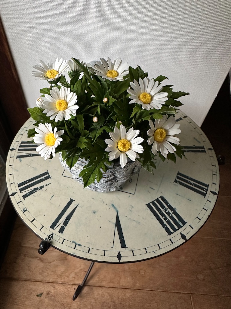 f:id:blossom-art:20230127210102j:image
