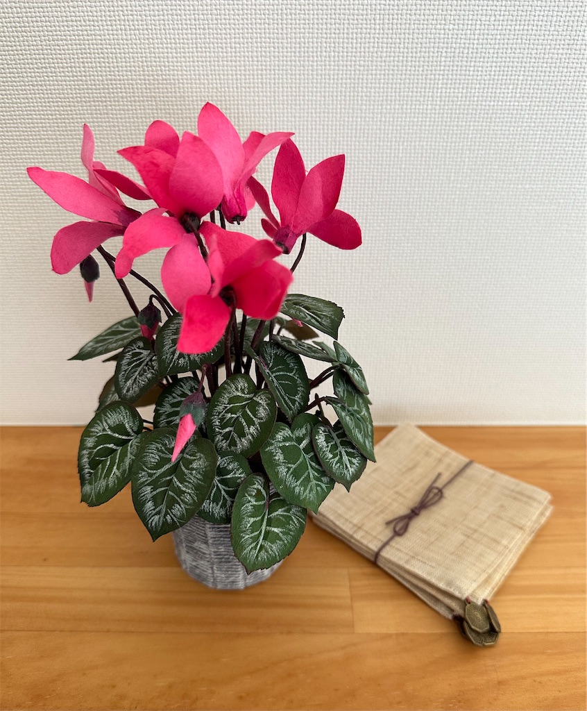 f:id:blossom-art:20230226193732j:image