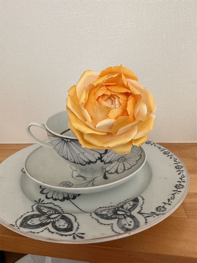 f:id:blossom-art:20230227183625j:image