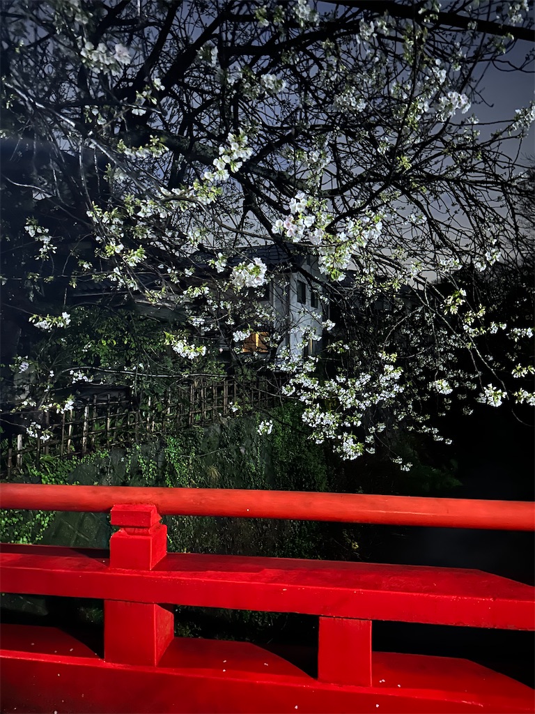 f:id:blossom-art:20230326201008j:image