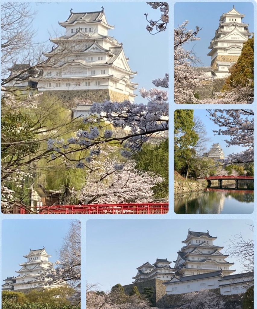 f:id:blossom-art:20230407211724j:image