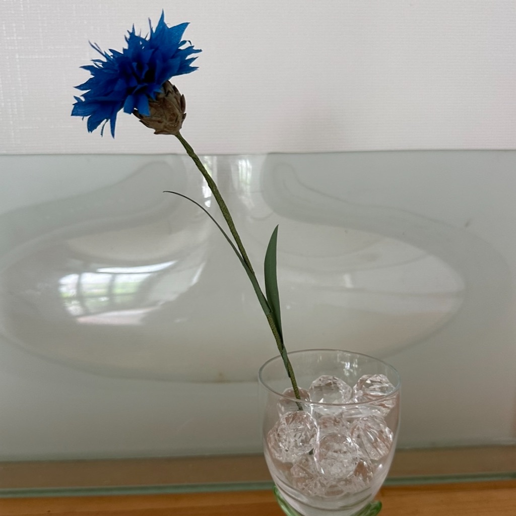f:id:blossom-art:20230621194000j:image
