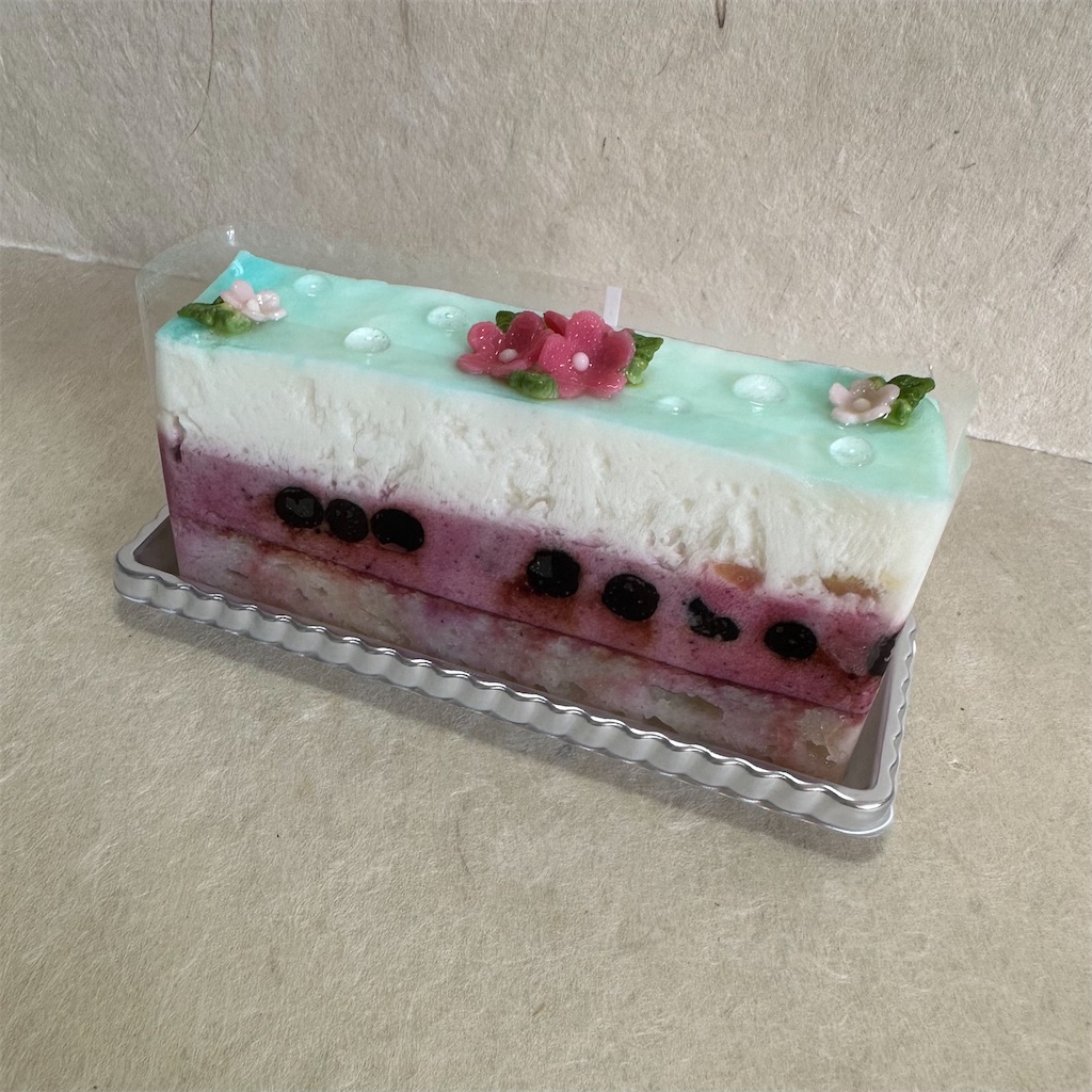 f:id:blossom-art:20230623174820j:image