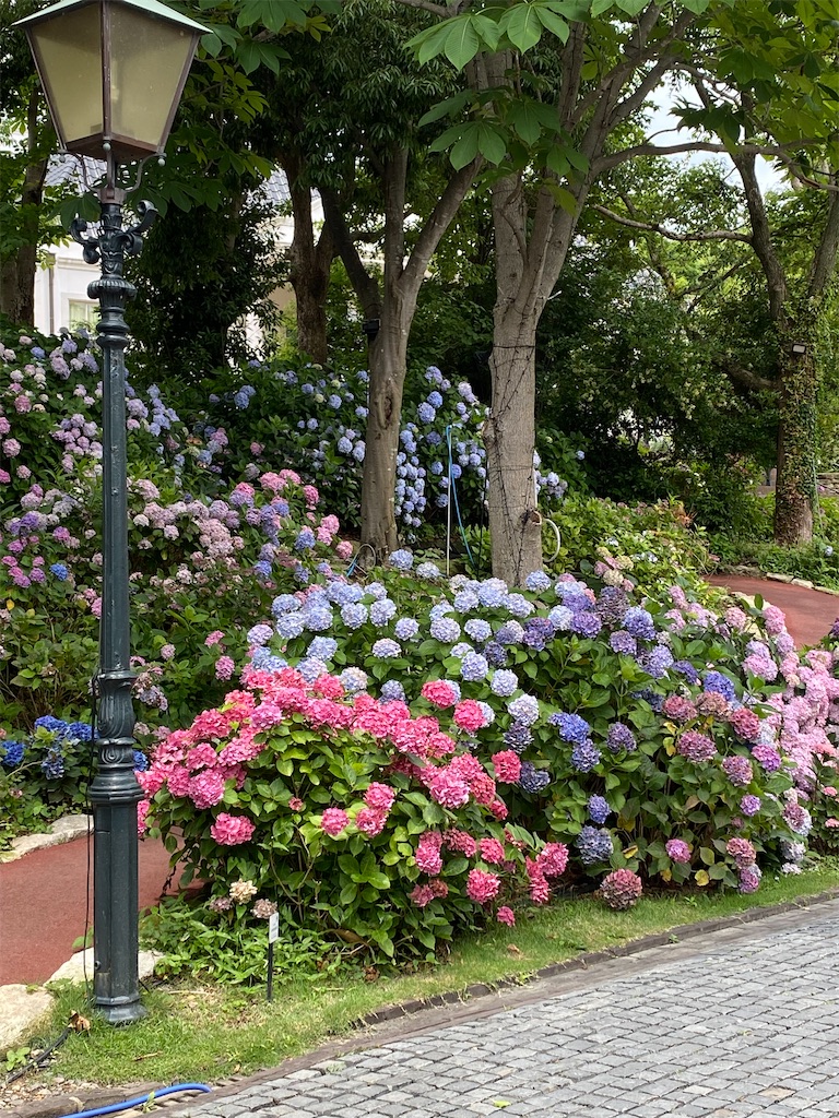 f:id:blossom-art:20230624184624j:image