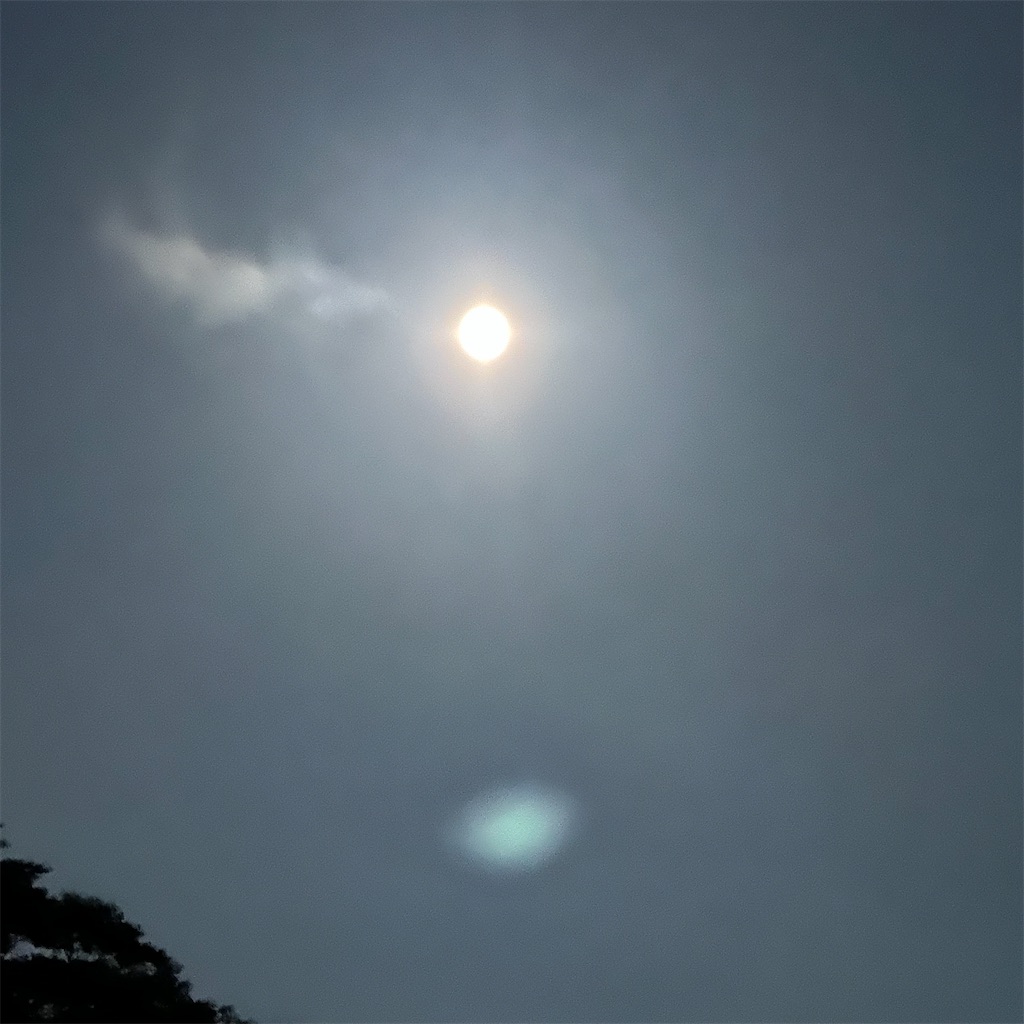 f:id:blossom-art:20230705203147j:image