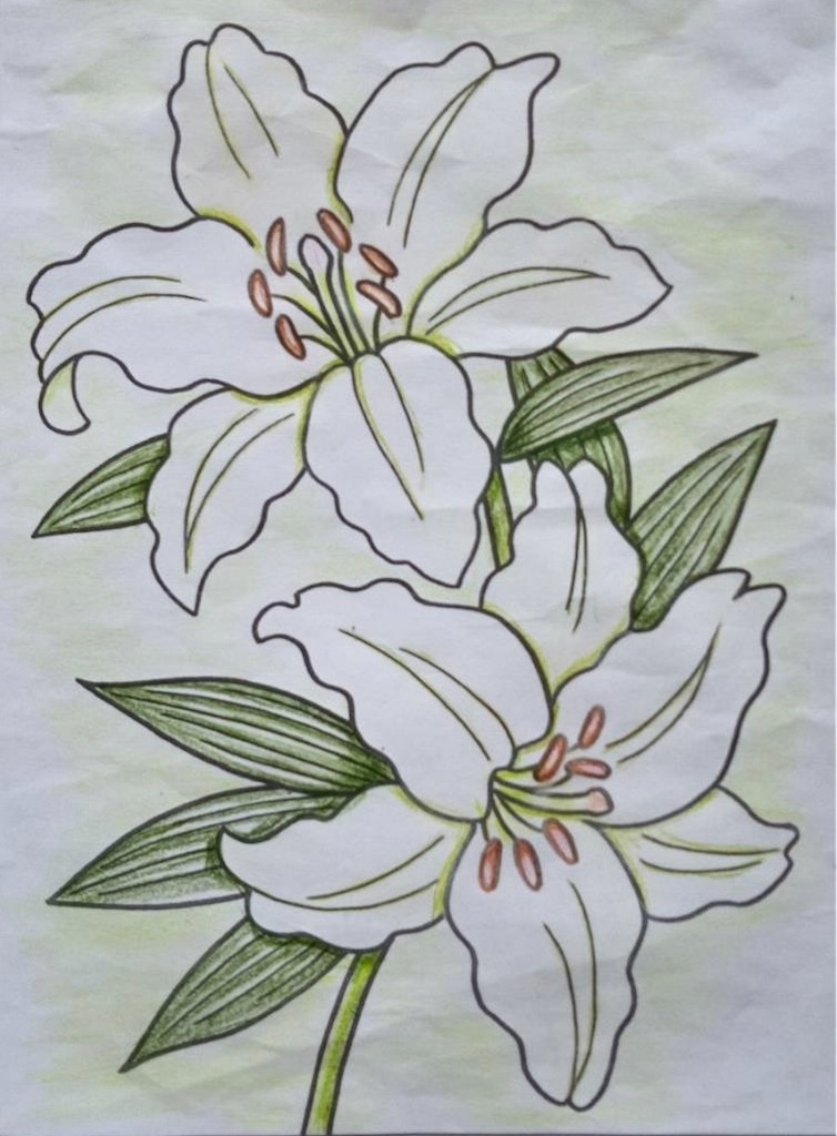 f:id:blossom-art:20230804170134j:image