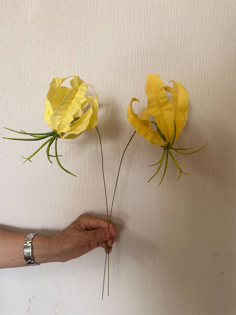 f:id:blossom-art:20230822180126j:image
