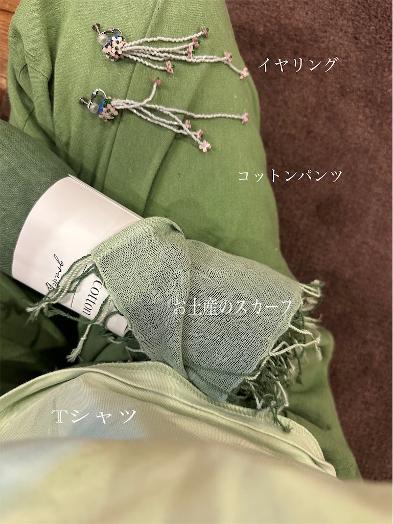 f:id:blossom-art:20230827222612j:image