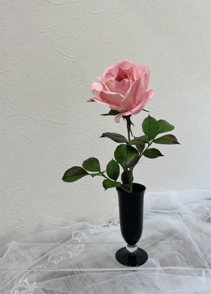 f:id:blossom-art:20230922203249j:image