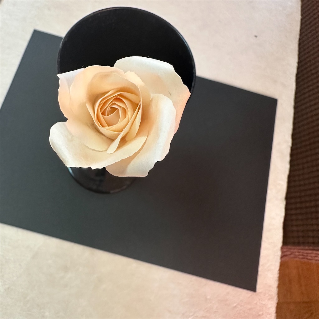 f:id:blossom-art:20230924222441j:image