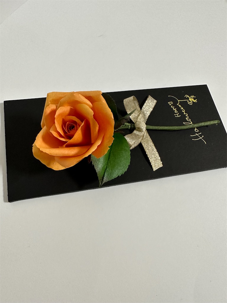 f:id:blossom-art:20230924223549j:image