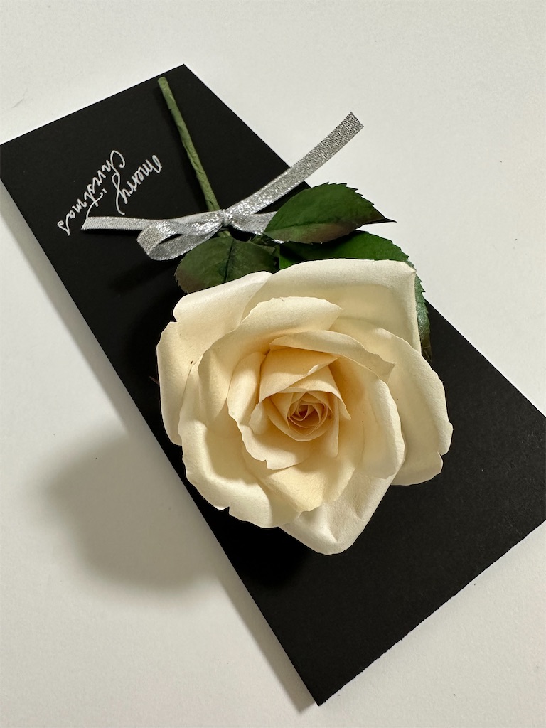f:id:blossom-art:20230924224053j:image