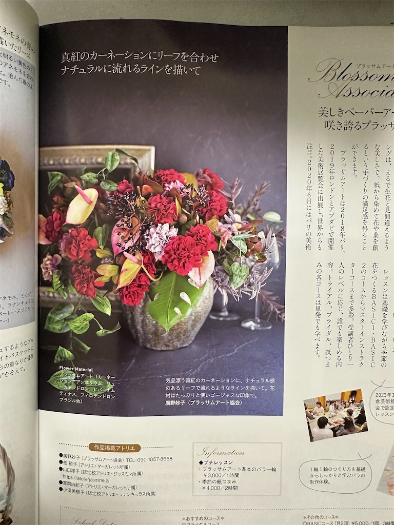 f:id:blossom-art:20231116200909j:image
