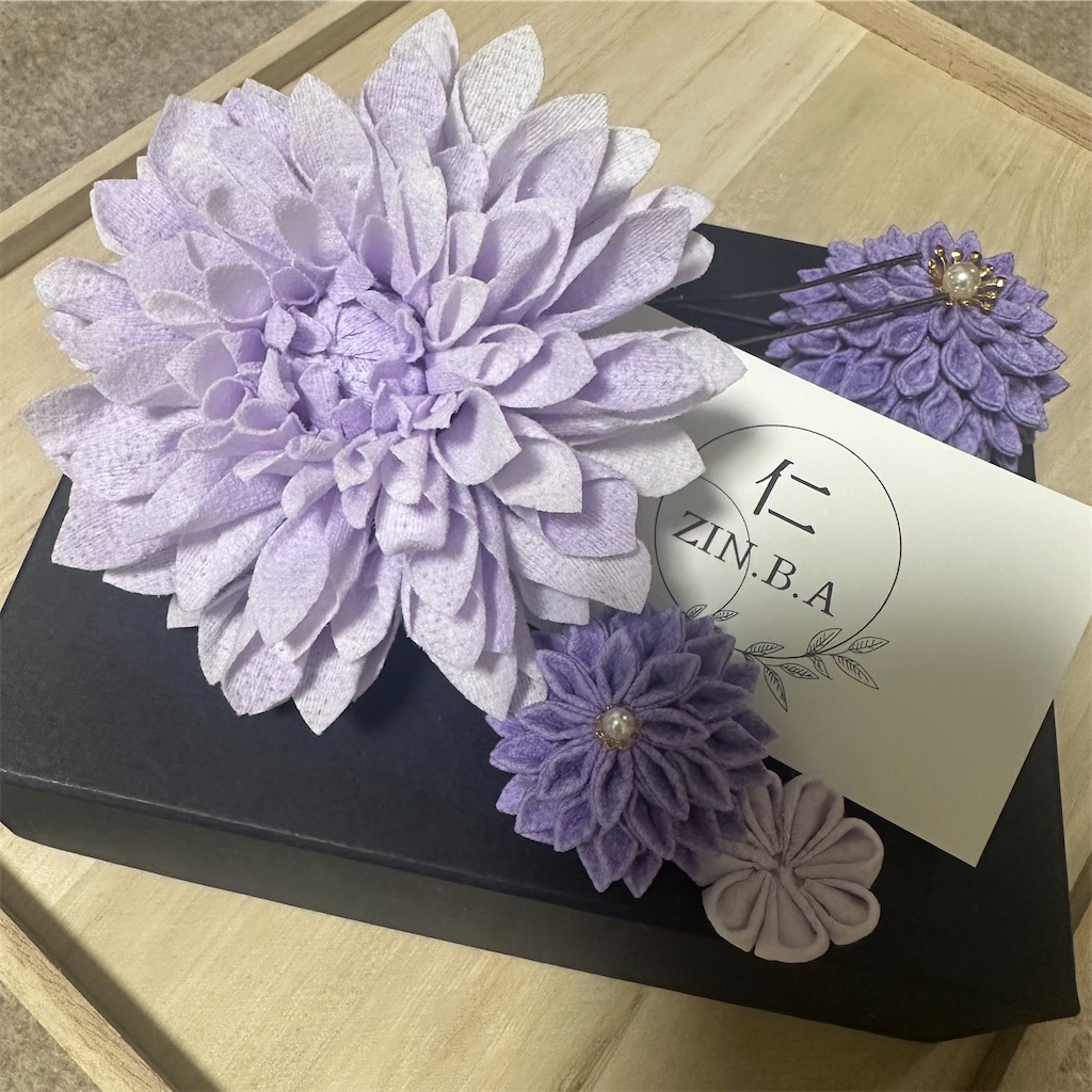 f:id:blossom-art:20240225224338j:image