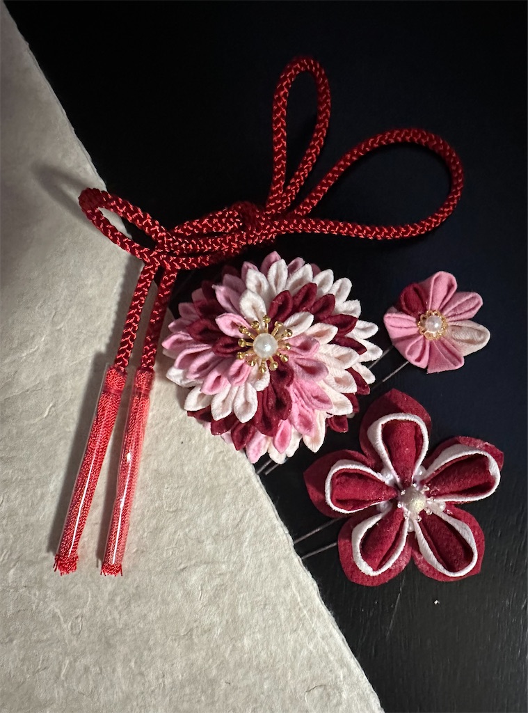 f:id:blossom-art:20240310223647j:image