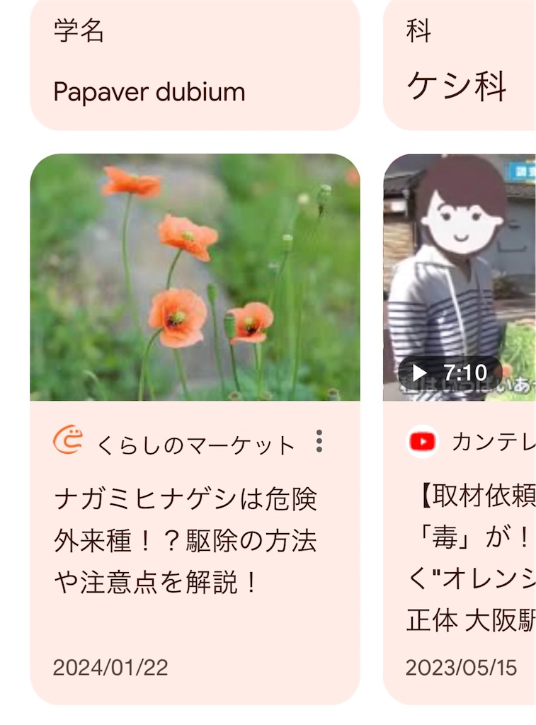f:id:blossom-art:20240411230452j:image