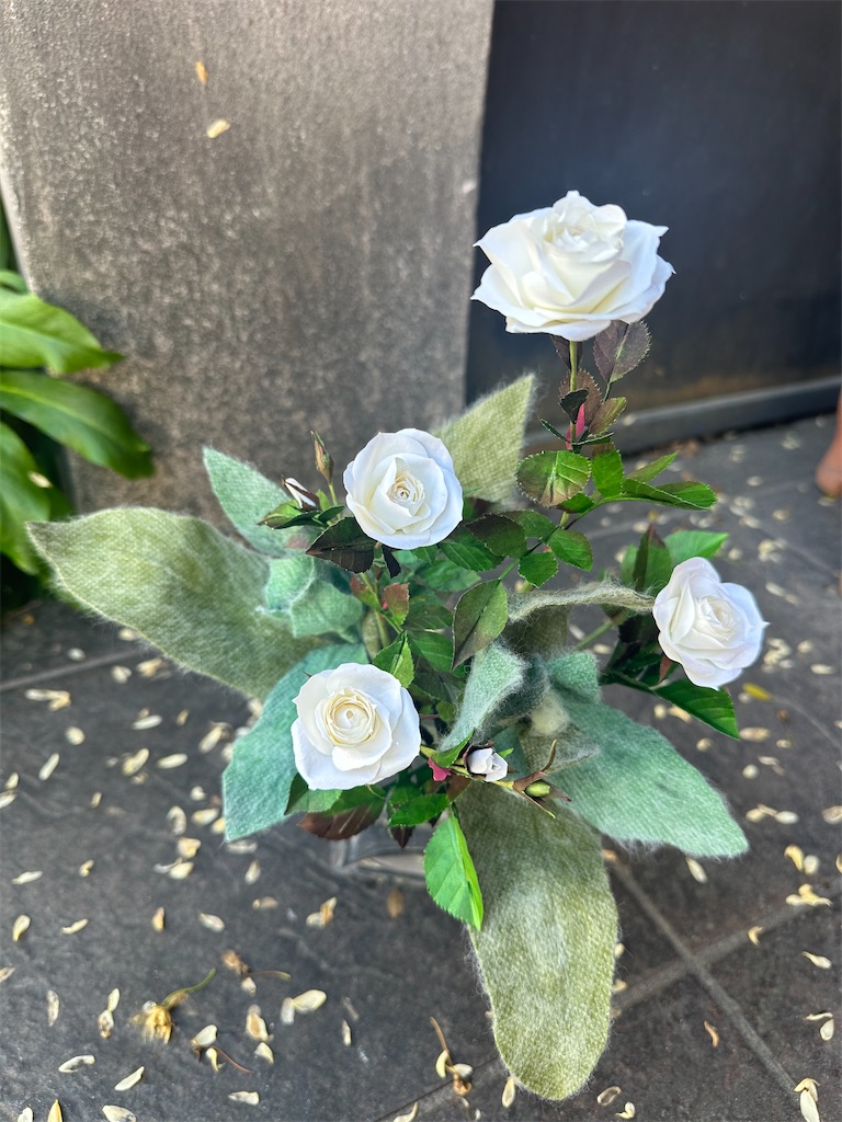 f:id:blossom-art:20240425225845j:image