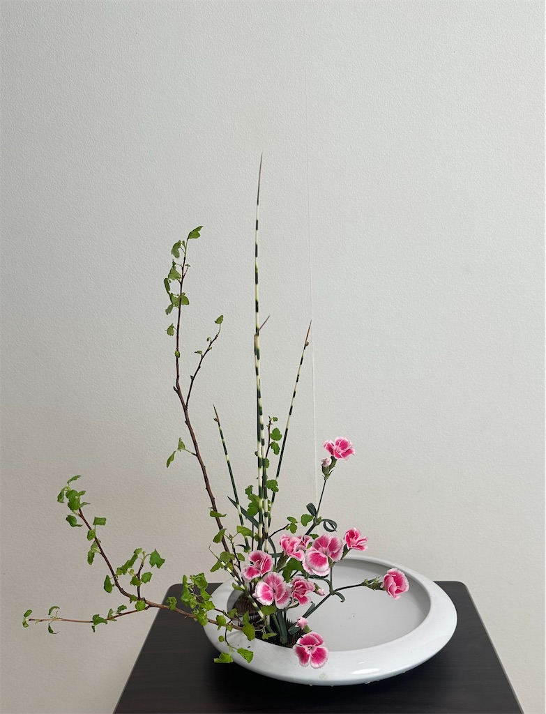 f:id:blossom-art:20240427201521j:image