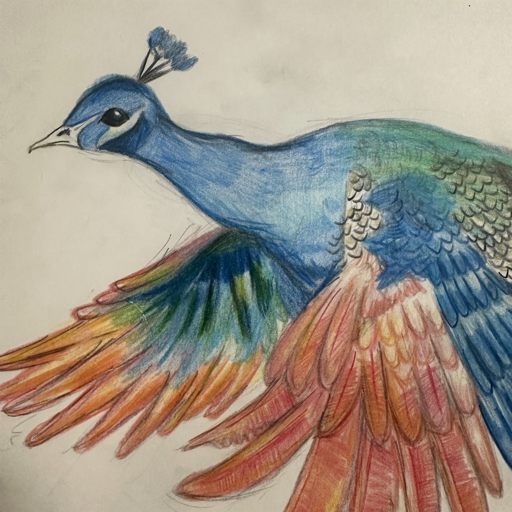 f:id:blossom-art:20240430185245j:image
